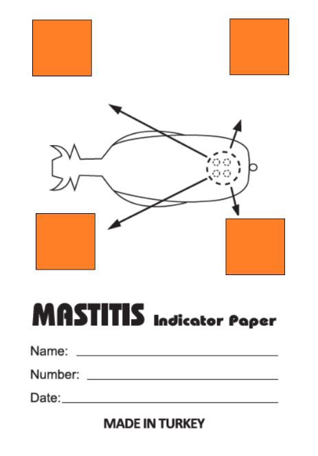 Veterinary Mastitis Test Kit